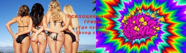 метадон Алексин