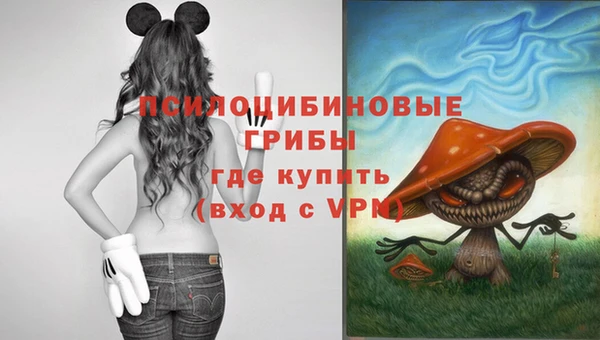 метамфетамин Алексеевка