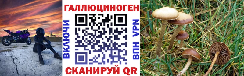 Галлюциногенные грибы MAGIC MUSHROOMS  blacksprut как войти  Лабытнанги 