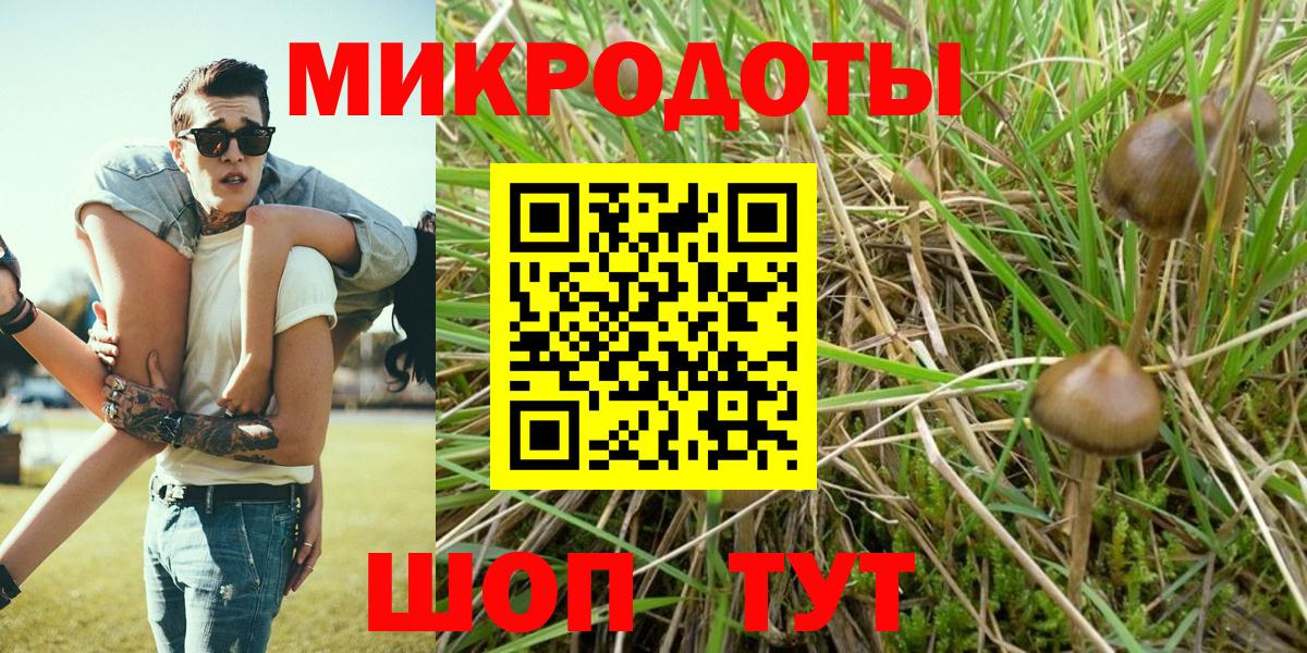 Галлюциногенные грибы Psilocybine cubensis Лабытнанги