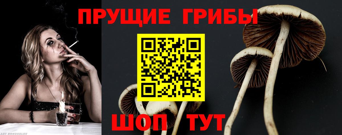 Лабытнанги  Галлюциногенные грибы ЛСД  что такое   Вход с VPN  Псилоцибиновые грибы MAGIC MUSHROOMS 